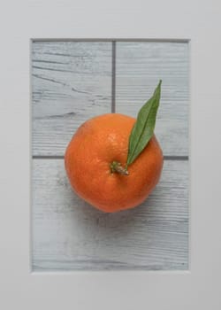 Mandarin in frame on white wooden background