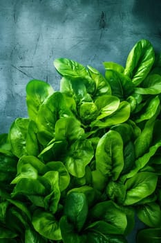 Fresh green basil leaves on textured background