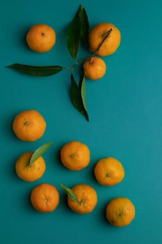 A composition of mandarins on an aquamarine background. Mandarin with leaves