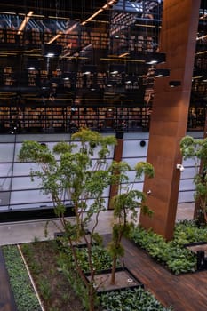 Public Library architecture bookcase Indoor trees Modern interior design of library in European Solidarity Centre Gdansk Poland. Biophilia design connecting with nature green areas. Modern abstract museum in Europe. Travel destination tourist attraction