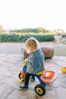Little girl sits on a tricycle and looks at the steering wheel. High quality photo