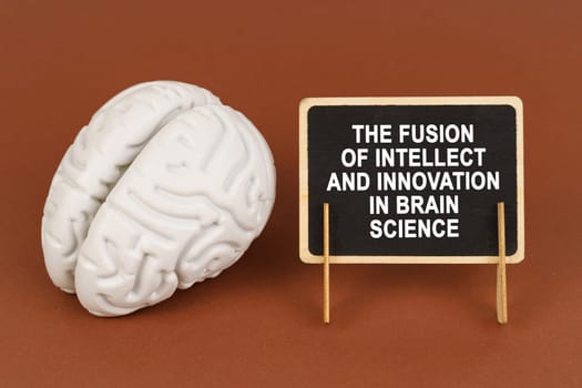 On a brown background, a model of the brain and a sign with the inscription - The fusion of intellect and innovation in brain science. Science and technology concept.