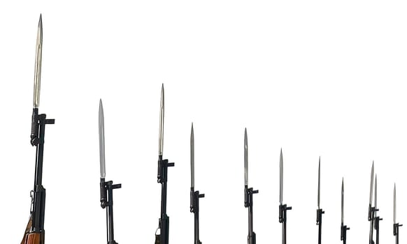 Bayonets on military rifles on a white background. Isolated photo of honor guard rifles.