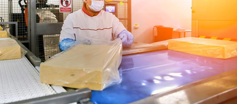 Two workers start making blocks of cheese in a factory. Worker on a cheese production line.