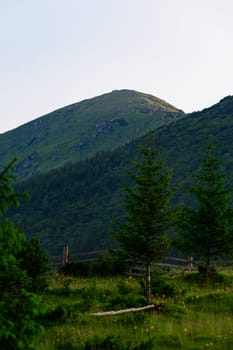 Mount Vukhaty Kamin in the Carpathians of Ukraine, summer in the mountains with a clear sky and sunny weather.