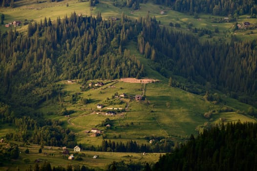 The village of Dzembronya in the Carpathians in the summer season, houses and meadows among the forest in the mountains.