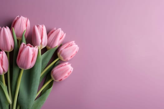 Bouquet of pink tulips arranged on a pastel background