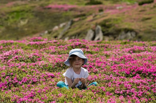 A little girl is sitting on a meadow full of rhododendrons, a beautiful girl among beautiful flowers in the mountains.