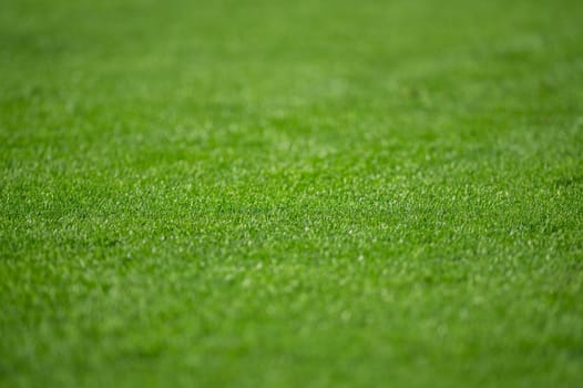 Natural grass of football field with blur.