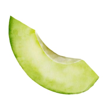 Avocado slice watercolor illustration. Hand drawing on isolated white background. Botanical sketch of a ripe exotic fruit. For menu design and banner design for nutritionist. High quality illustration