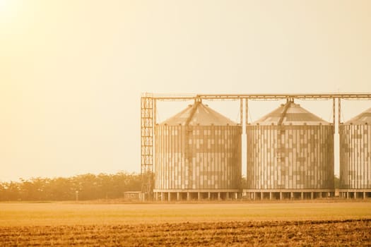 Silos and granary elevator. Modern agro-processing manufacturing plant with grain-drying complex. processing, drying, cleaning, and storing agricultural products in wheat, rye, or corn fields