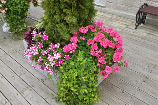 Flowers in a vase near the house