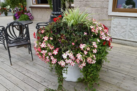 Flowers in a vase near the house