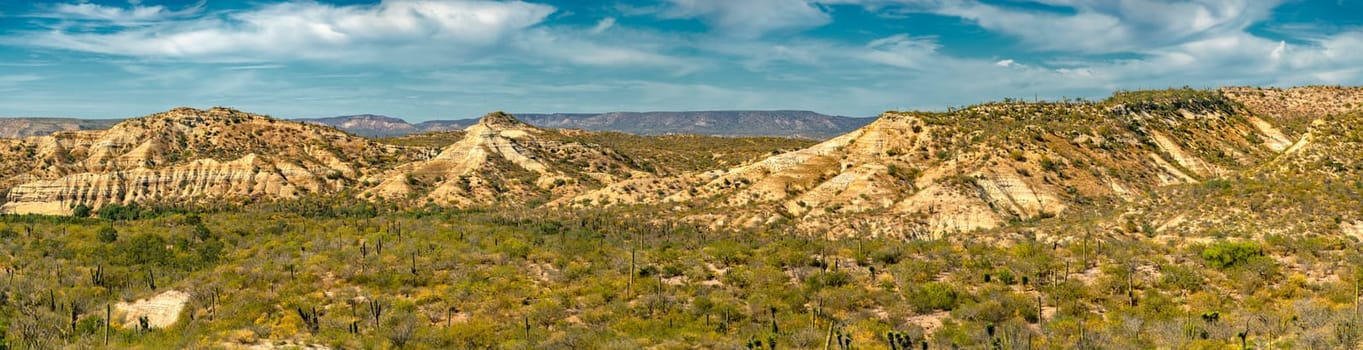 Baja California Sur aerial landscape Mexico panorama