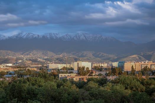 A stunning cityscape with mountains in the backdrop, surrounded by green trees under a blue sky with white clouds.