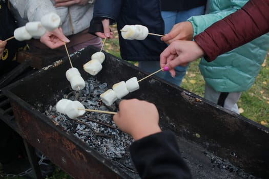 Photography outdoor recreation. Women's hands and marshmallows on skewers. On the grill. Preparation.