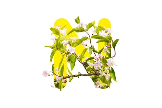letter N made from white flowers isolated on white , alphabet