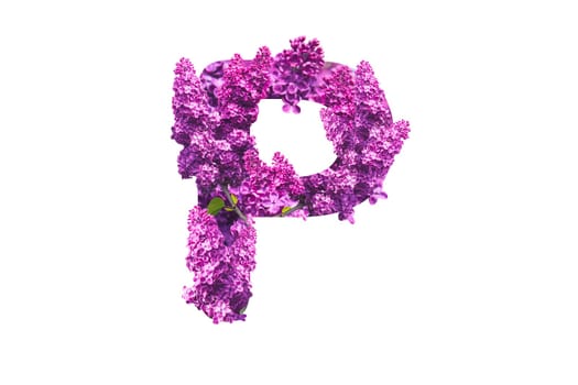 letter P made from white flowers isolated on white, alphabet