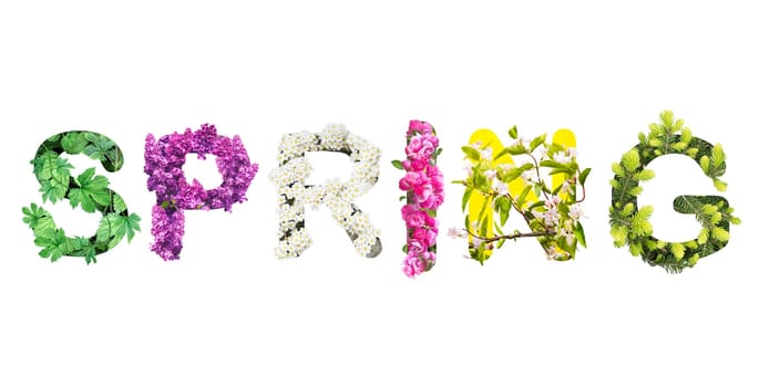 word spring made of floral letters isolated on white, alphabet