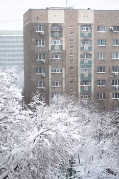 Winter scene outside window with snow-covered tree branches in foreground and blurred building in background.