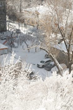 A close-up of snow-covered tree branches against a soft, out-of-focus background. The delicate beauty of nature in winter.