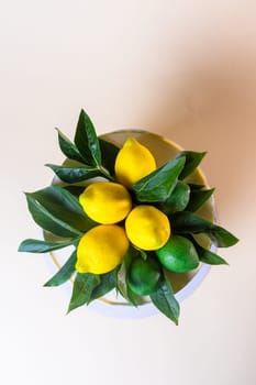 A round cake is decorated with lemons, green leaves, and ceramic tiles pattern. The cake is isolated on a beige background.