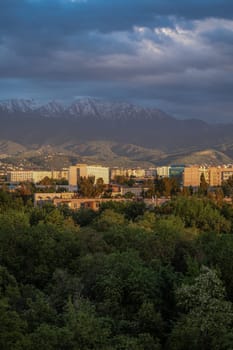 A stunning cityscape with mountains in the backdrop, surrounded by green trees under a blue sky with white clouds.