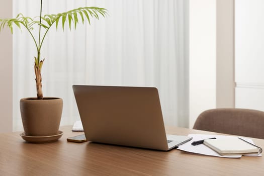 Laptop and flower pot on wooden table at home interior