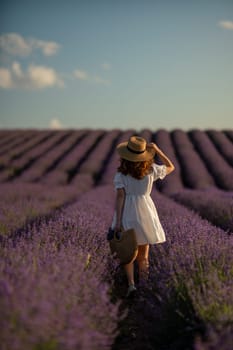 Back view woman lavender sunset. Happy woman in white dress holds lavender bouquet. Aromatherapy concept, lavender oil, photo session in lavender.