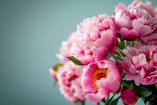 A collection of pink peonies arranged in a vase, showcasing their vibrant color and delicate petals.
