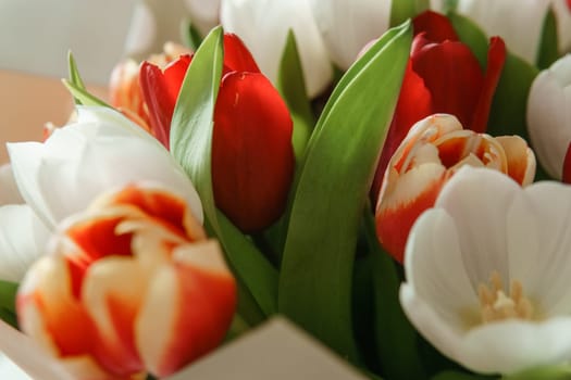 Spring Inspiration: Tulip Bouquet in Honor of International Women's Day.