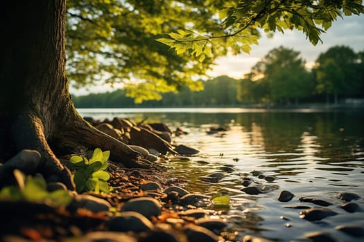 The rays of the sun break through the foliage of a tree growing above the river.