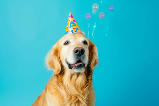 A golden retriever dog wearing a festive birthday party hat against a blue background.