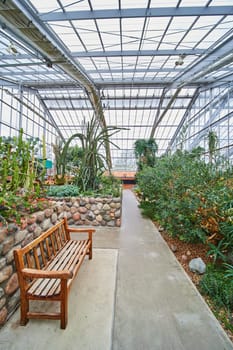 Tranquil Greenhouse Interior at Matthaei Botanical Gardens, Michigan, Showcasing a Variety of Cacti and Succulents