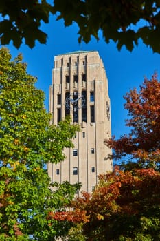 Autumn at University of Michigan showcasing the historic Burton Memorial Clock Tower framed by vibrant fall leaves