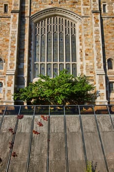 Gothic-style University of Michigan Law Quadrangle building with ornate window and ivy, set against clear skies in Ann Arbor