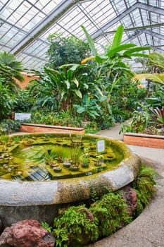 Lush Tropical Greenhouse at Matthaei Botanical Gardens in Ann Arbor, Michigan