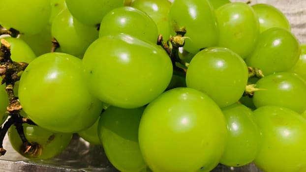 seedless green Shine Muscat grape background in a container. Japanese grapes. white grapes local produce
