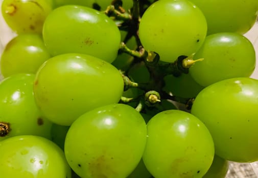 seedless green Shine Muscat grape background in a container. Japanese grapes. white grapes local produce