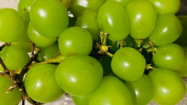 seedless green Shine Muscat grape background in a container. Japanese grapes. white grapes local produce