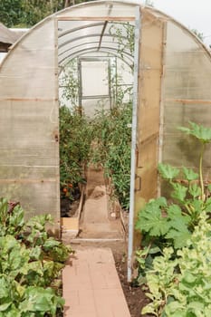 Large greenhouses for growing homemade vegetables. The concept of gardening and life in the country