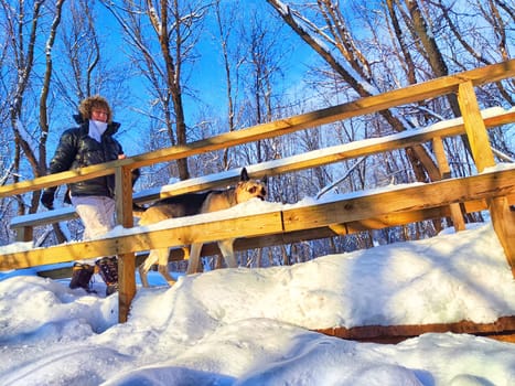 Adult girl or mature lady walking with shepherd dog, taking selfies in winter nature landscape. Middle aged woman and big shepherd dog on wooden bridge in cold day. Friendship, love, communication