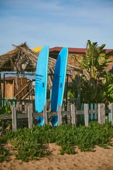 Vertical shot stylish blue surfboards on sand, against the background of palm trees on a tropical beach with straw parasols on a beautiful warm sunny day. Travel. Summer holidays and sport. Still life