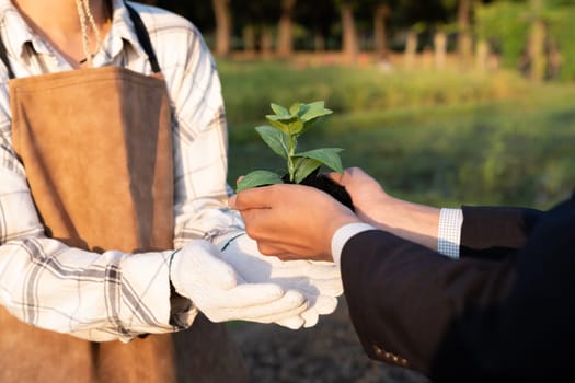 Eco-business company empower farmer with eco-friendly farming practice and clean agricultural technology. Cultivate sustainable future nurturing plants to grow and thrive. Gyre