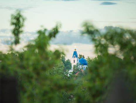 Domes of orthodox church seen through trees. Tomsk, Russia