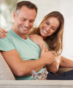 Man, woman and play with kitten for pet love, support and care with trust, happiness and relax on sofa at family home. Couple with baby cat, kindness and affection with animal on couch for adoption.