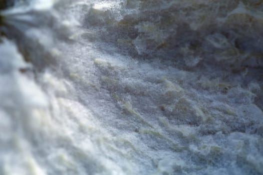 Image of pomelo peel from inside, close-up