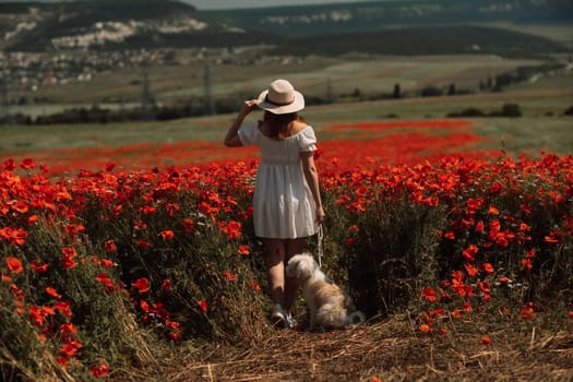 Field of poppies woman dog. Happy woman in a white dress and hat stand with her back through a blooming field of poppy with a white dog. Field of blooming poppies