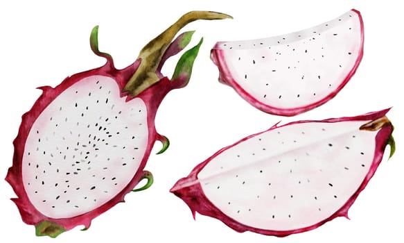 Watercolor set of pitahaya. Exotic dragon fruit half sliced with seeds on an isolated white background. Hand painted. Realistic drawing of a plant from Thailand. For food illustration design and tropical cocktail menu. High quality illustration