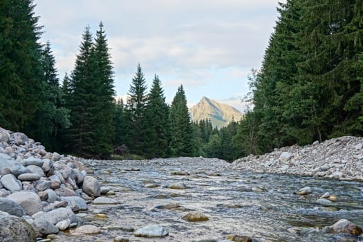 Shallow forest river, round stones and coniferous trees on both sides, mount Krivan peak (Symbol of Slovakia) with afternoon clouds in distance